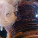 Illustration for article titled Which E3 Game Involves This Plastic Doll Head?